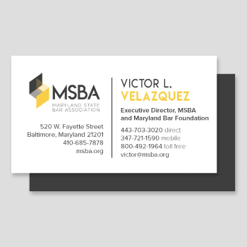 350×350-Detail-MSBA-Logo